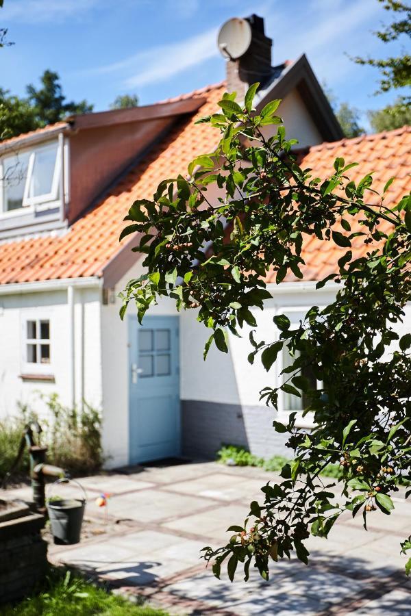 Cottage Duinroos - Dune Rose Oostvoorne Extérieur photo
