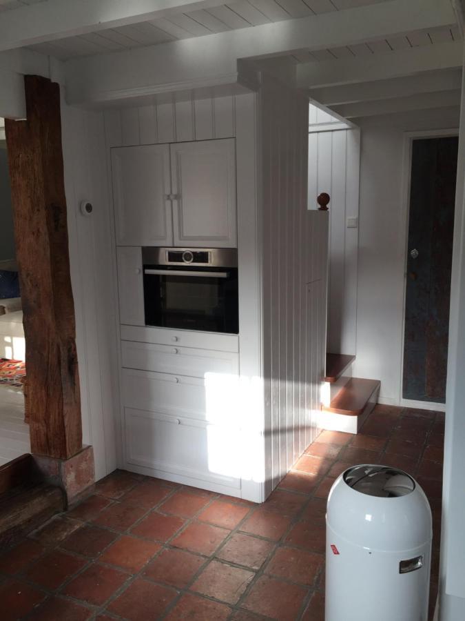 Cottage Duinroos - Dune Rose Oostvoorne Extérieur photo